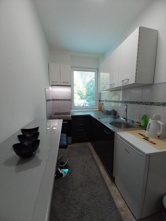 Apartmani Sofronic Loznica 1 ภายนอก รูปภาพ
